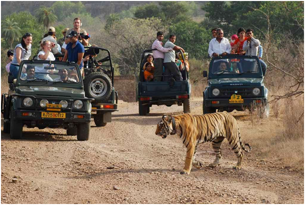 Desert National Park of Jaisalmer 