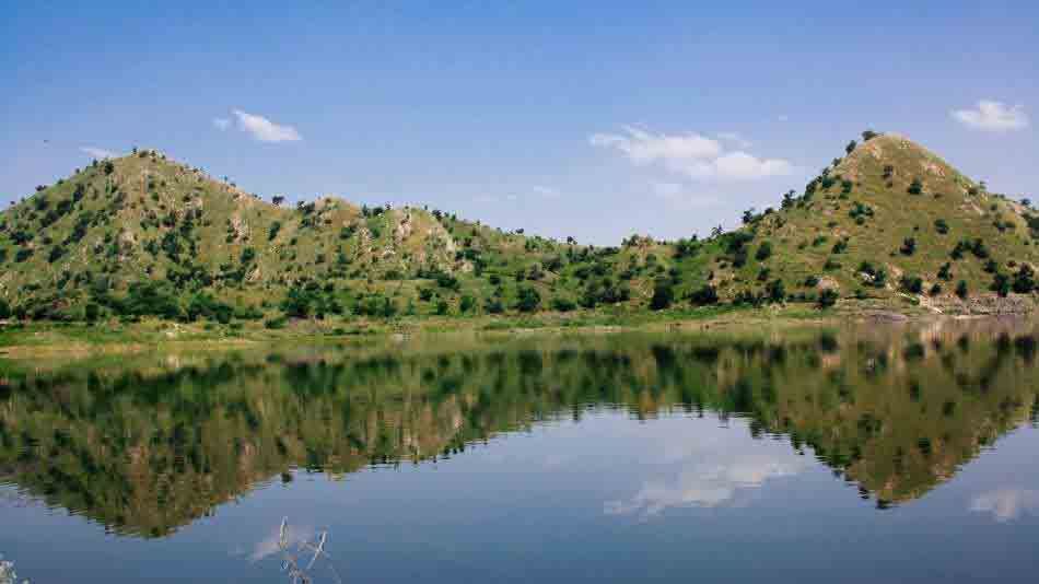 Wildlife Sanctuaries in Rajasthan