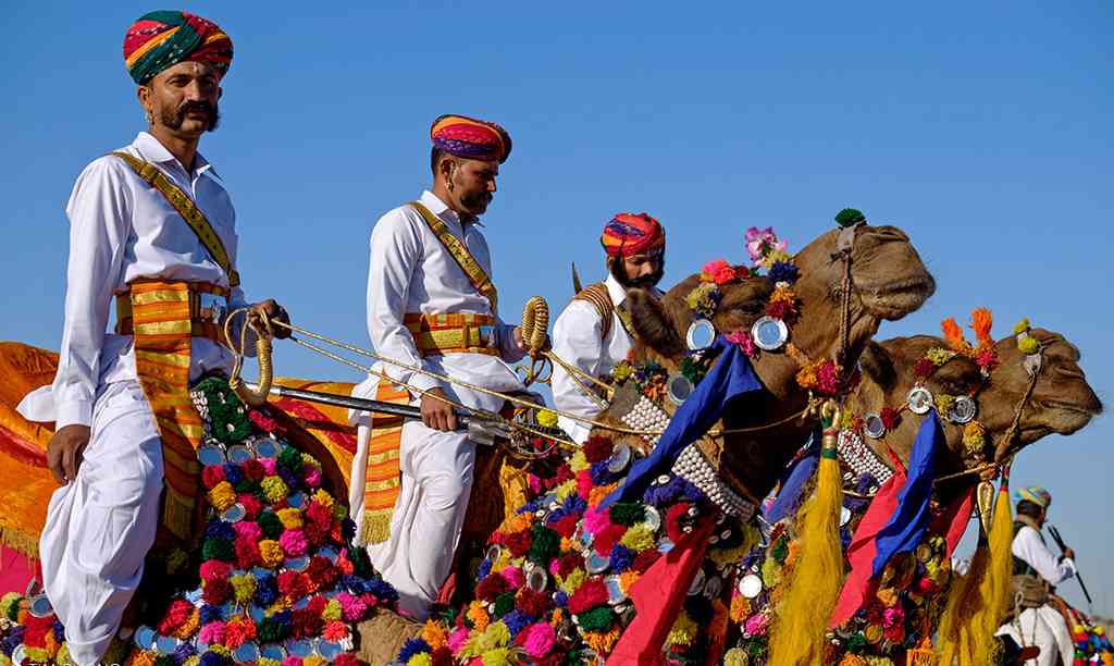 Camel Decoration