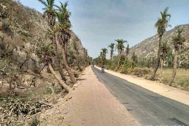 Jamwa Ramgarh Wildlife Sanctuary