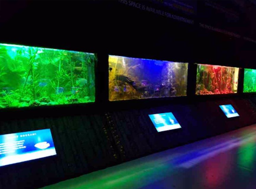 fateh sagar aquarium