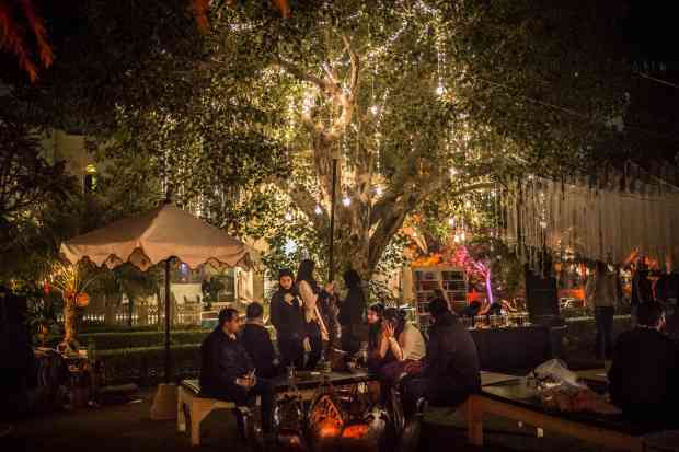 Magnetic Field Festival 