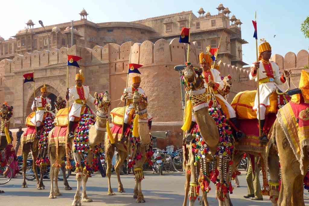 Bikaner Camel Fair