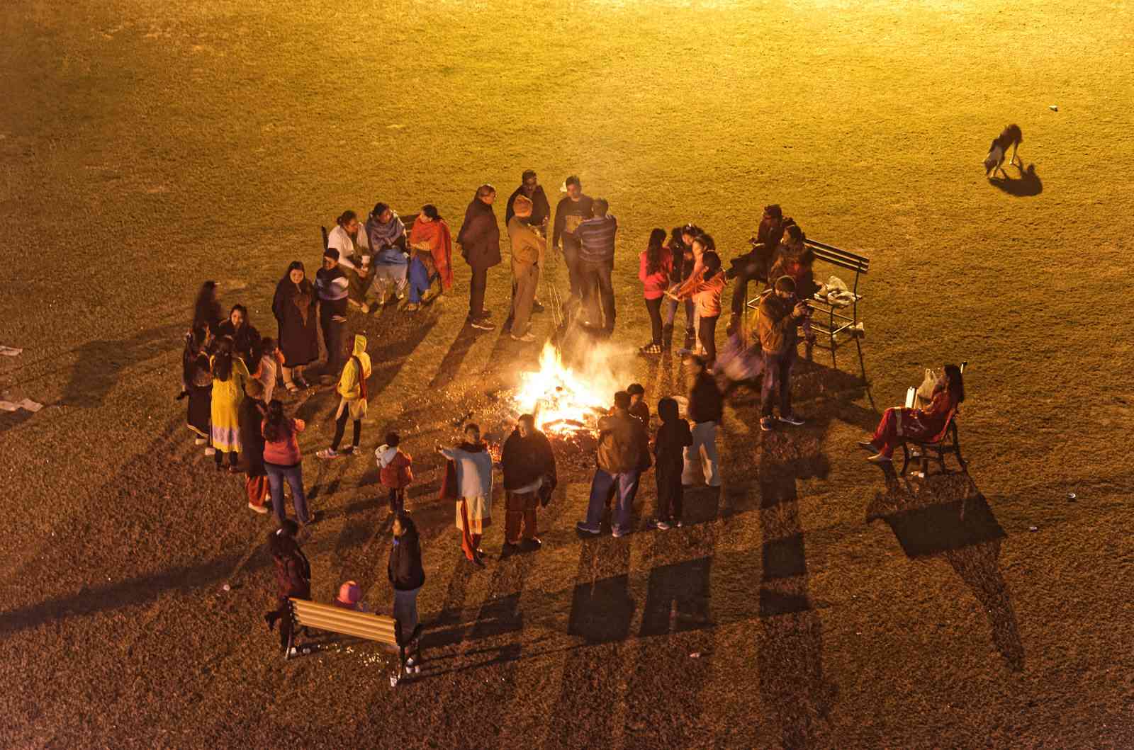 Lohri Celebration