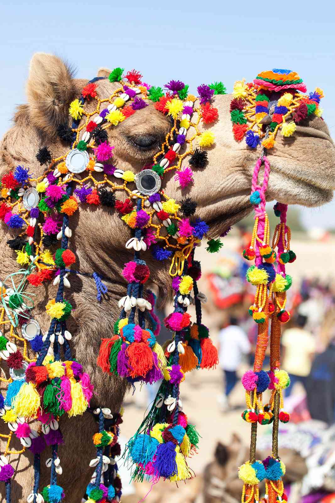 Jaisalmer Desert Festival