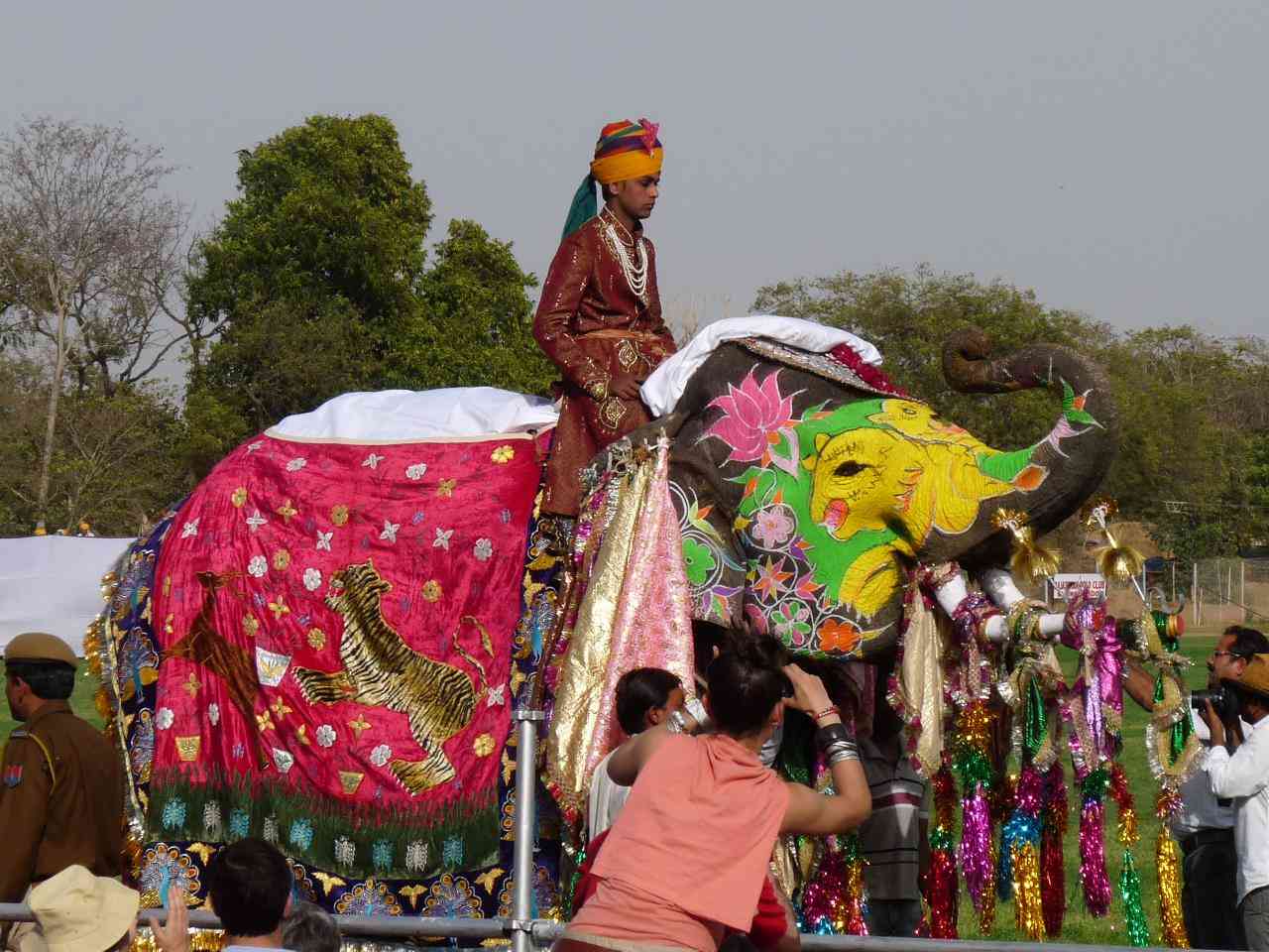 EleHoli Fest - Jaipur Holi Festival