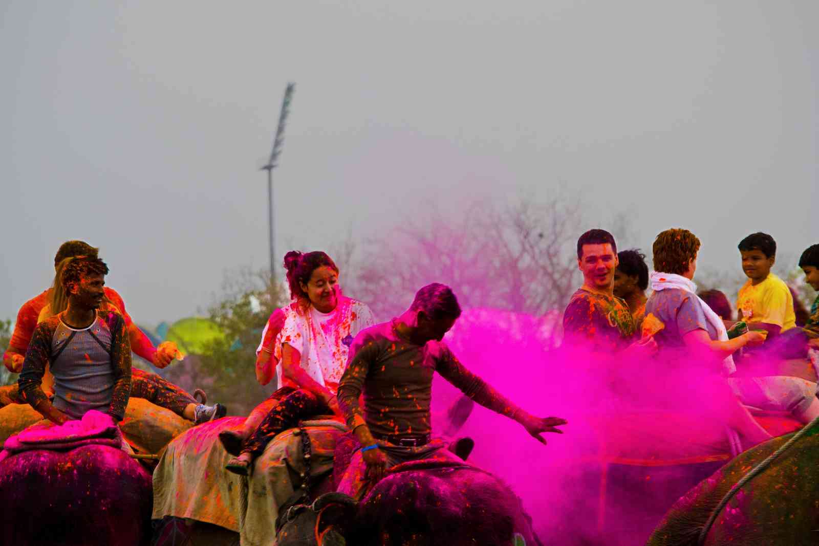 EleHoli Fest - Jaipur Holi Festival