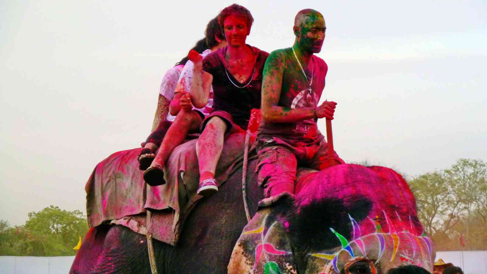 EleHoli Fest - Jaipur Holi Festival