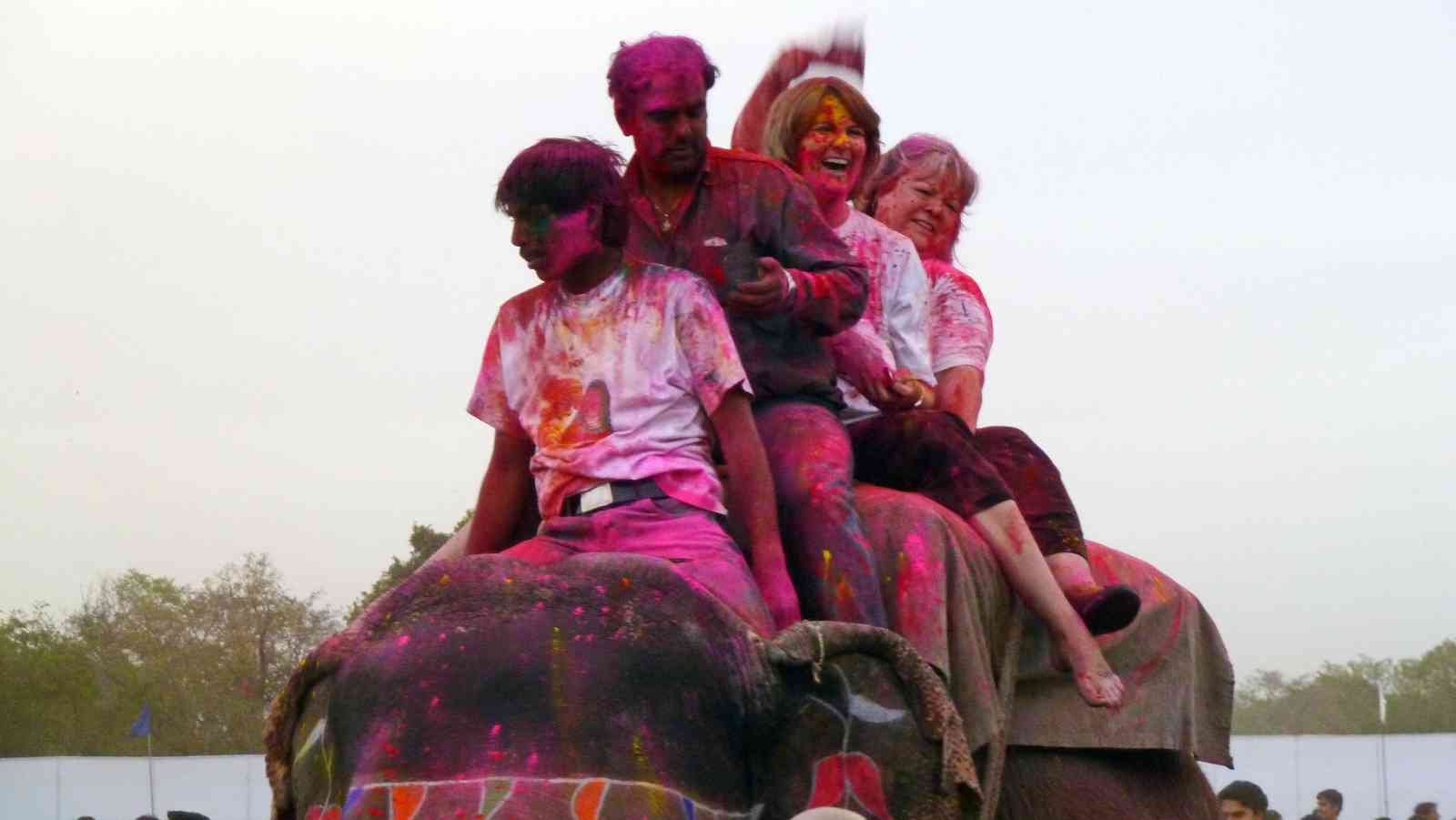 EleHoli Fest - Jaipur Holi Festival