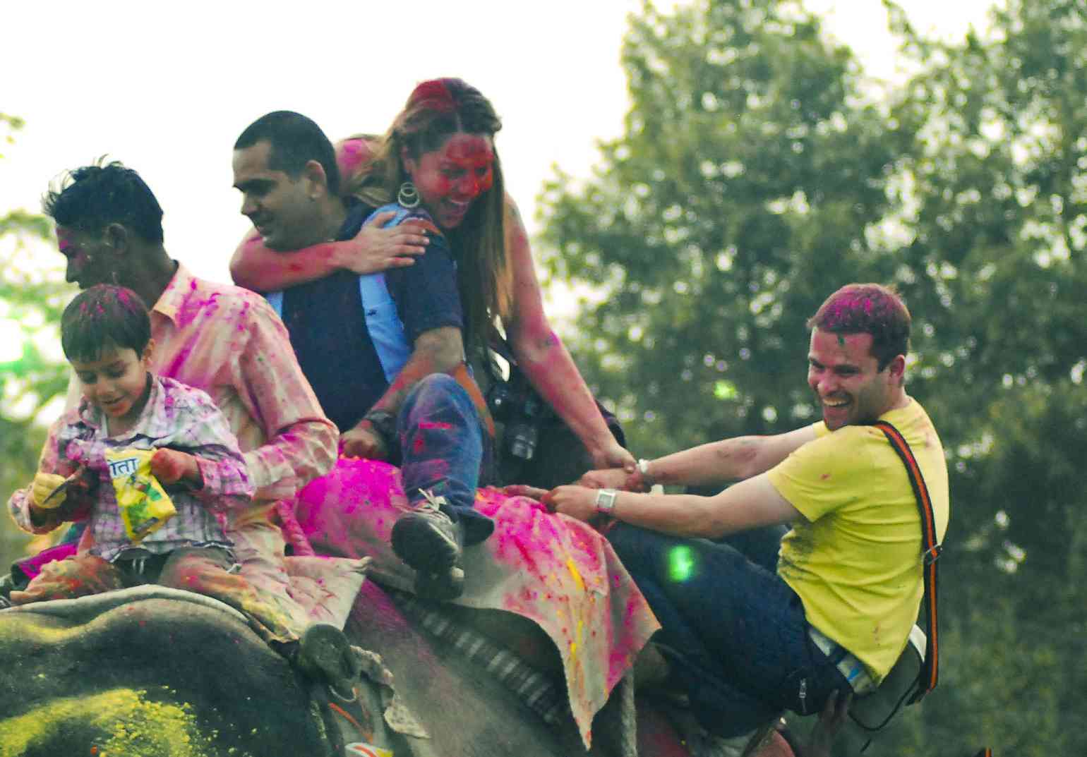EleHoli Fest - Jaipur Holi Festival