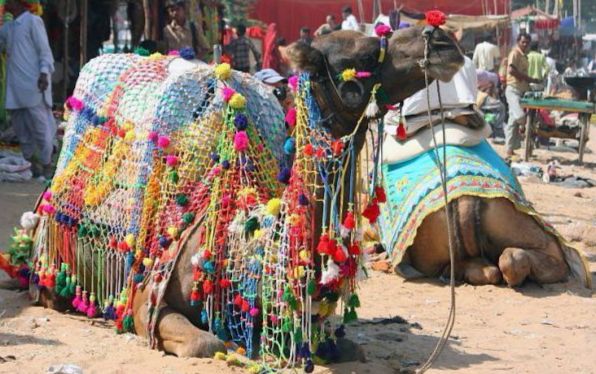 chandrabhaga fair images
