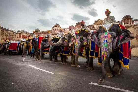 Teej Festival