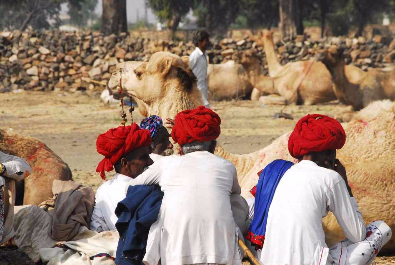 chandrabhaga fair images
