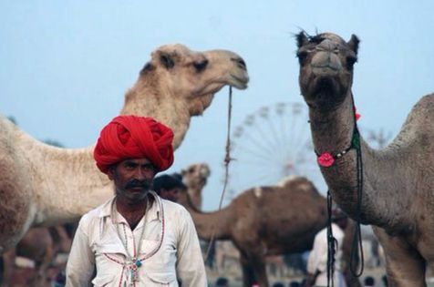 chandrabhaga fair images